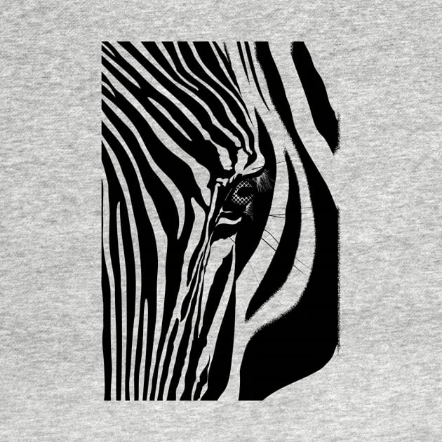 Zebra face by Babicko
